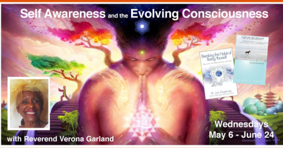 Self Awareness and the Evolving Consciousness