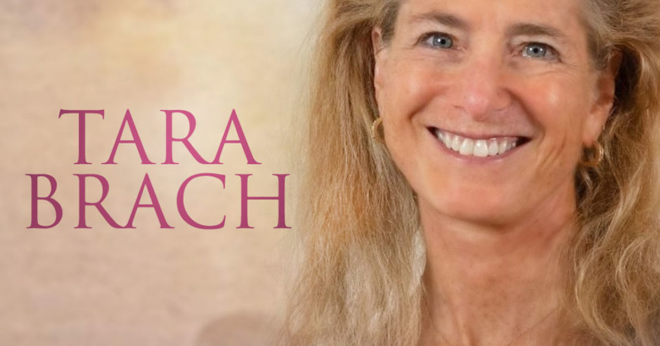 Satsang w/ Tara Brach – Guided Meditation and Q/A
