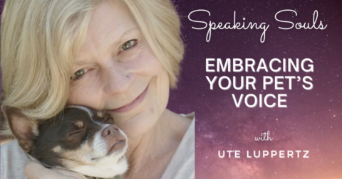 Speaking Souls ~ Embracing Your Pet’s Voice