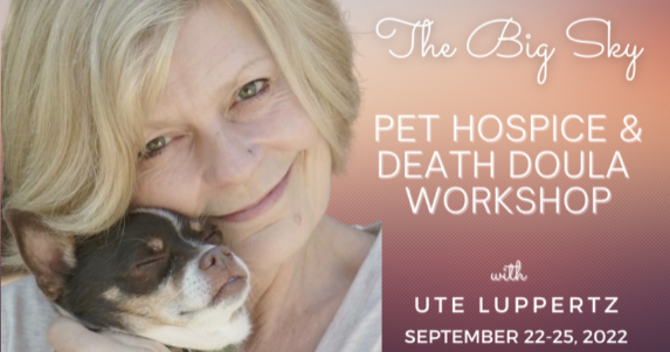 Pet Hospice & Death Doula Workshop ~ Online
