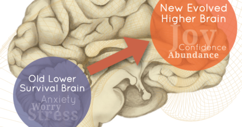 Higher Brain Living® in Bellingham, WA | May 18
