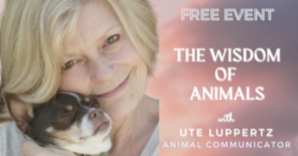 The Wisdom of Animals ~ Free Event ~ Online