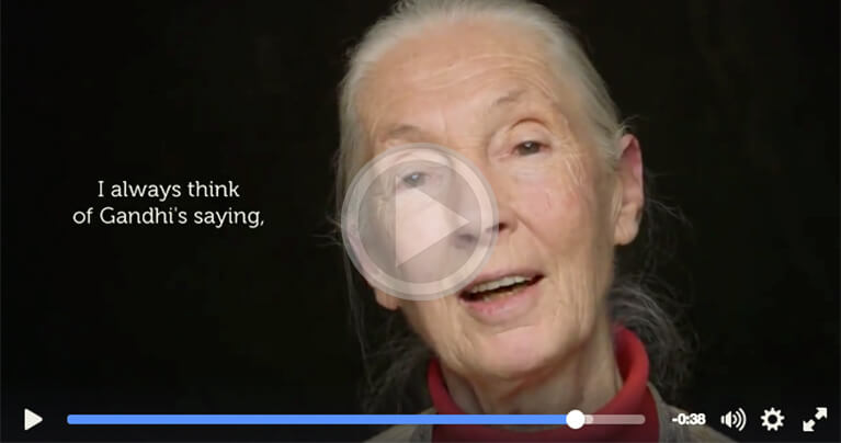 A message to humanity from Dr. Jane Goodall