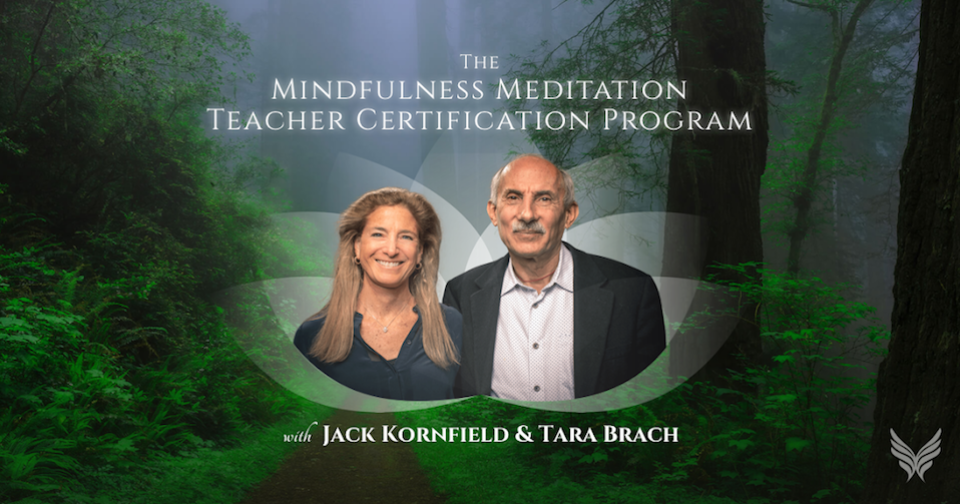 The Mindfulness Meditation Teacher Certification Program<br /><i>Online Course</i>